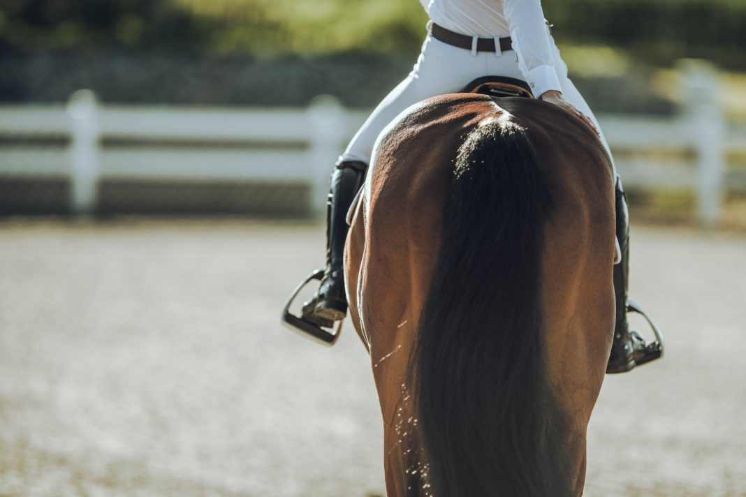Right or left? Find out which leg your horse primarily uses