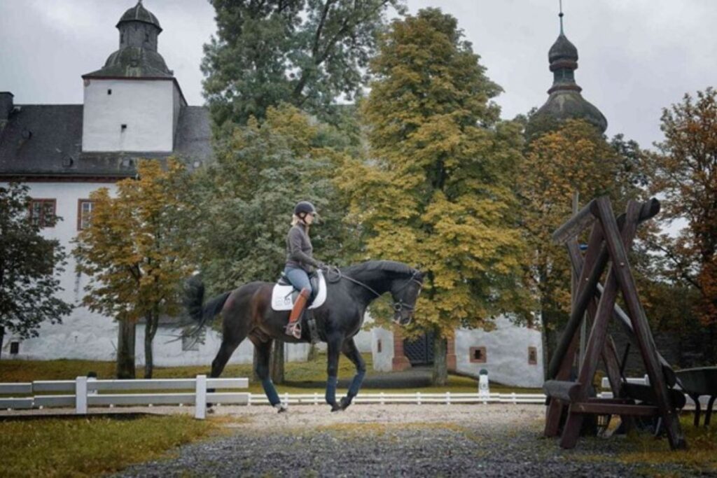 Digby and Nathalie in the riding arena at home in Berleburg, Germany in the autumn of 2017.
Photo: Kunddahl Graphic Photography / Erik Kunddahl.