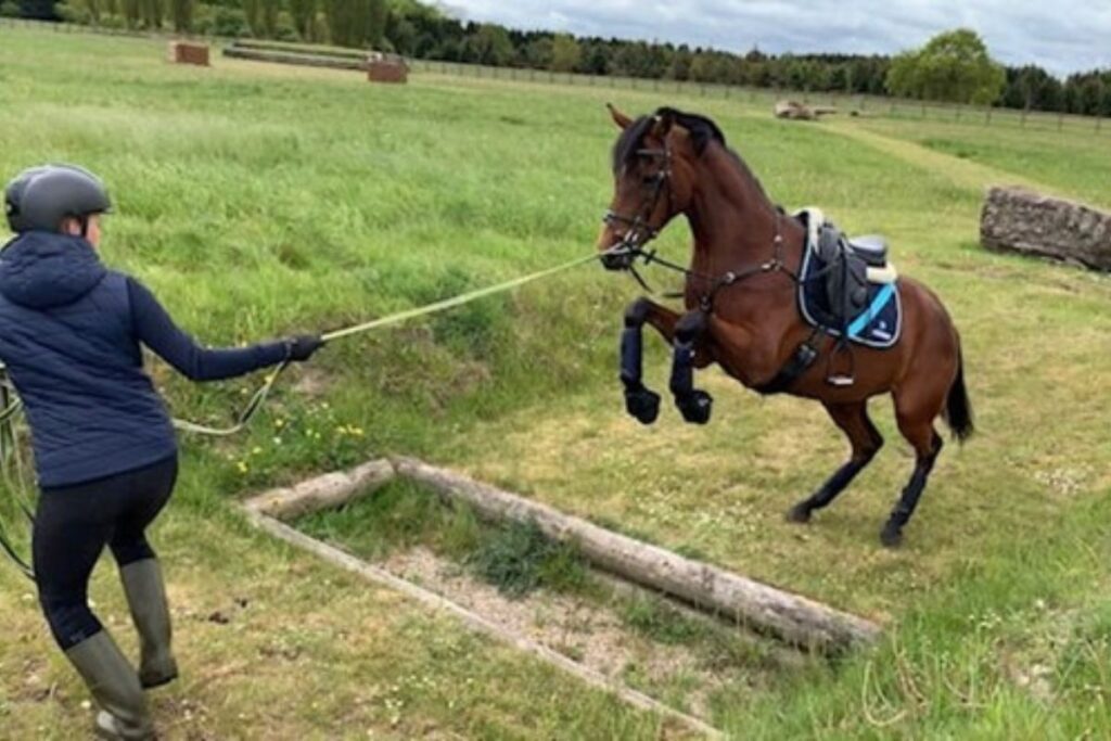 Cecilie teaches her young horse Bambi to become comfortable jumping over obstacles in the terrain by being on the ground the first few times. Photo: Cecilie Eriksen