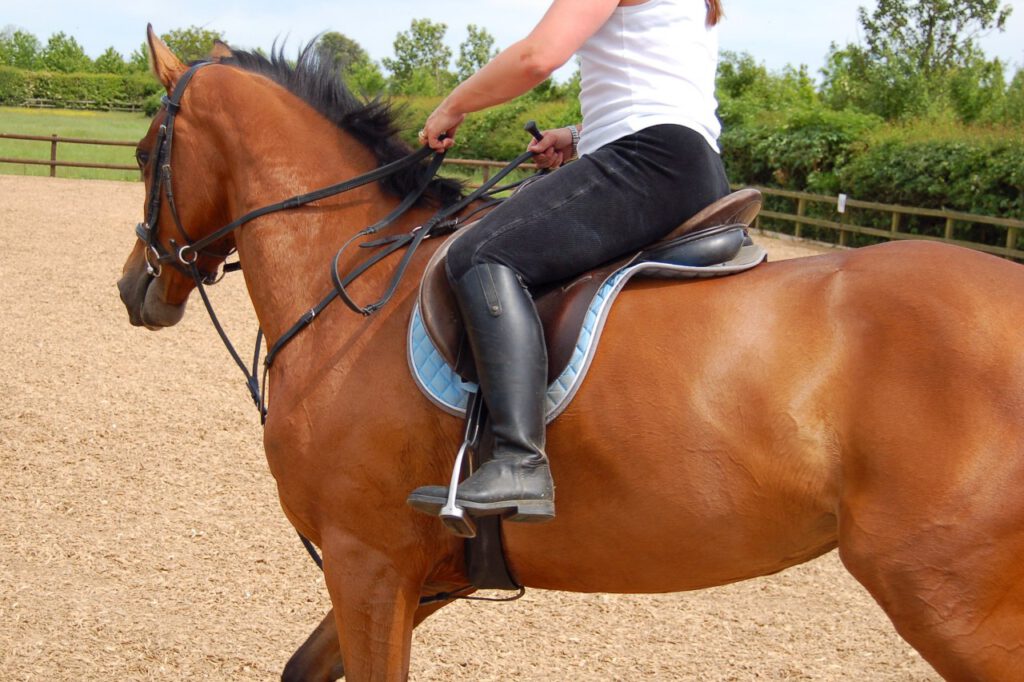  The general function of the martingale is to make sure that the horse cannot raise its head up to a height where the rider can lose control of the horse. Photo: Canva Pro.