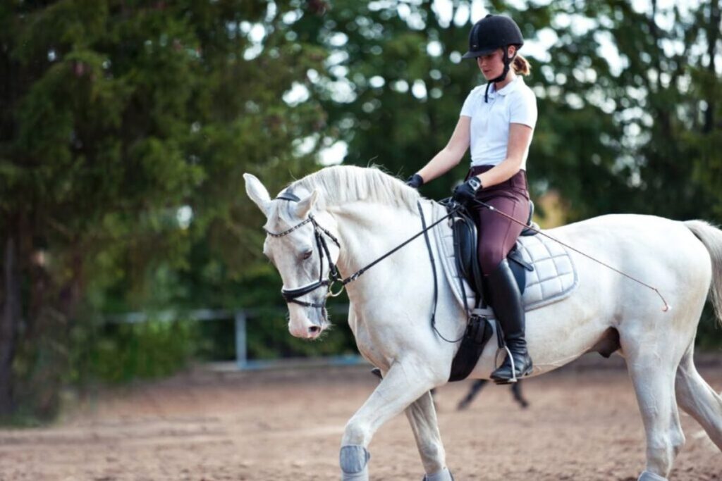 "Some riders are almost anxious for their horse goes of the bit and raises its head during training.
That things just suddenly do not look nice," says Claus Toftgaard. Photo: Archive.