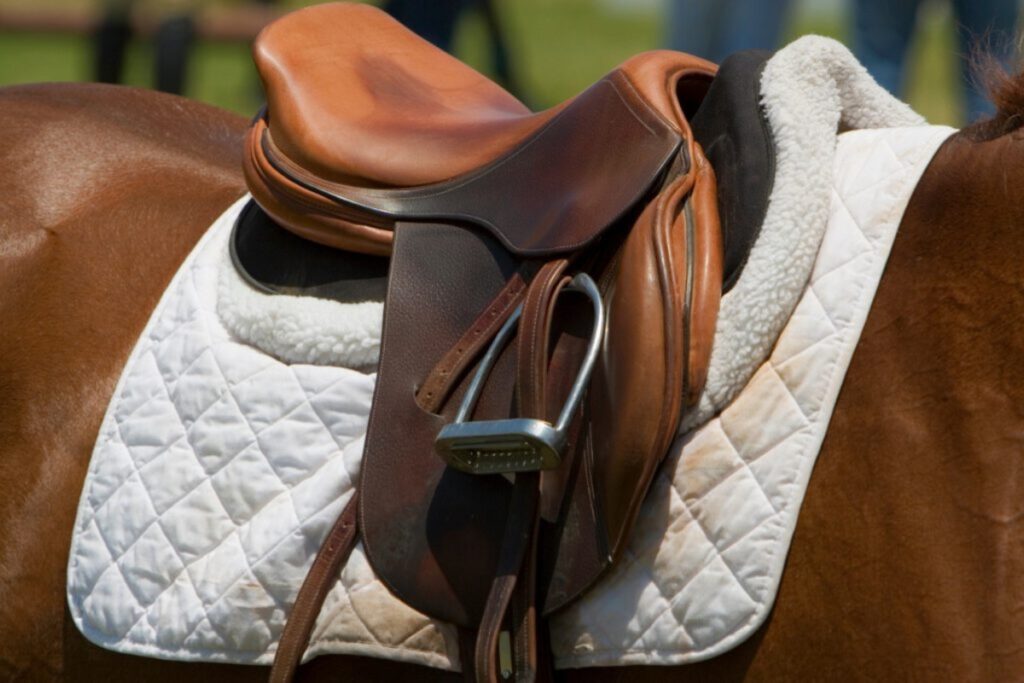 Study: Why half pads underneath the saddle can be effective