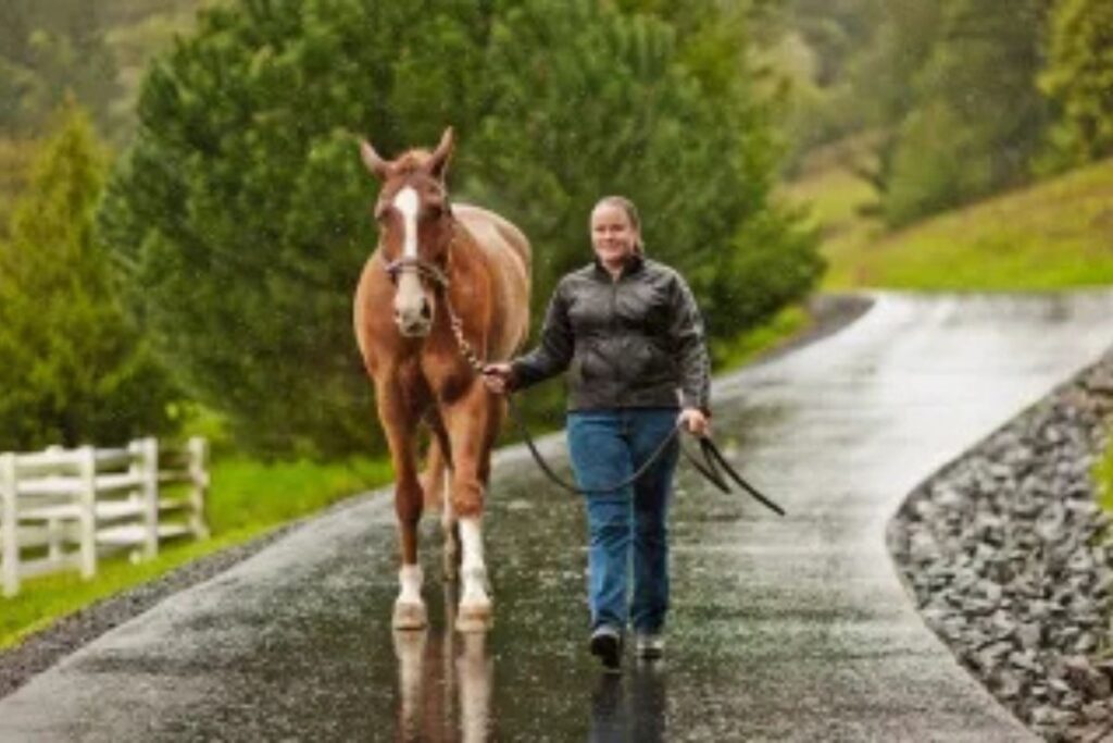 Horse and trainer walk on a road, in rainy weather. Use the weather to do environmental training with your horse. Photo: Archive.