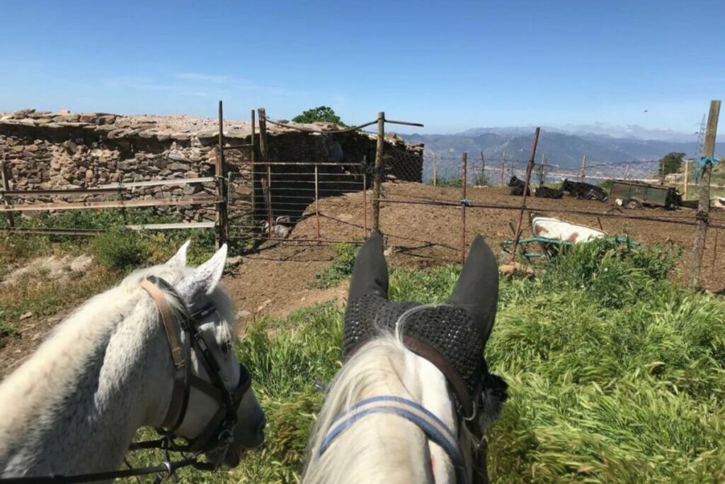 Horses are not the only animals at the Caballo Blanco ranch. Photo: Cabello Blanco.