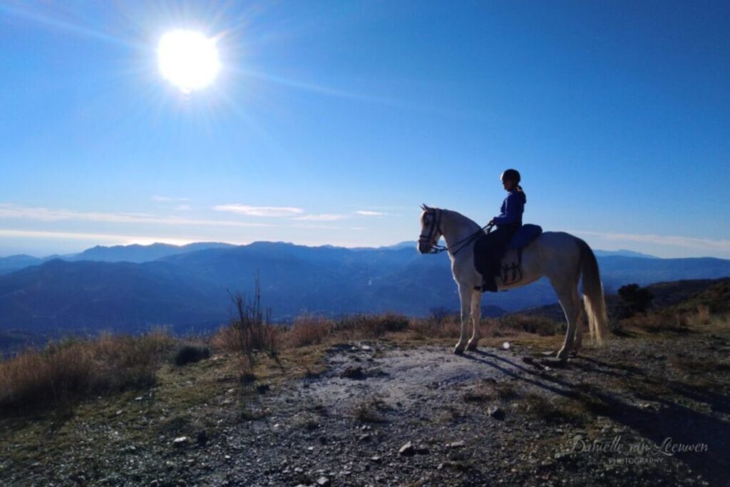 Those of the horses that are suited for it can become part of the trekking family. Photo: Daniëlle van Leeuwen Photography