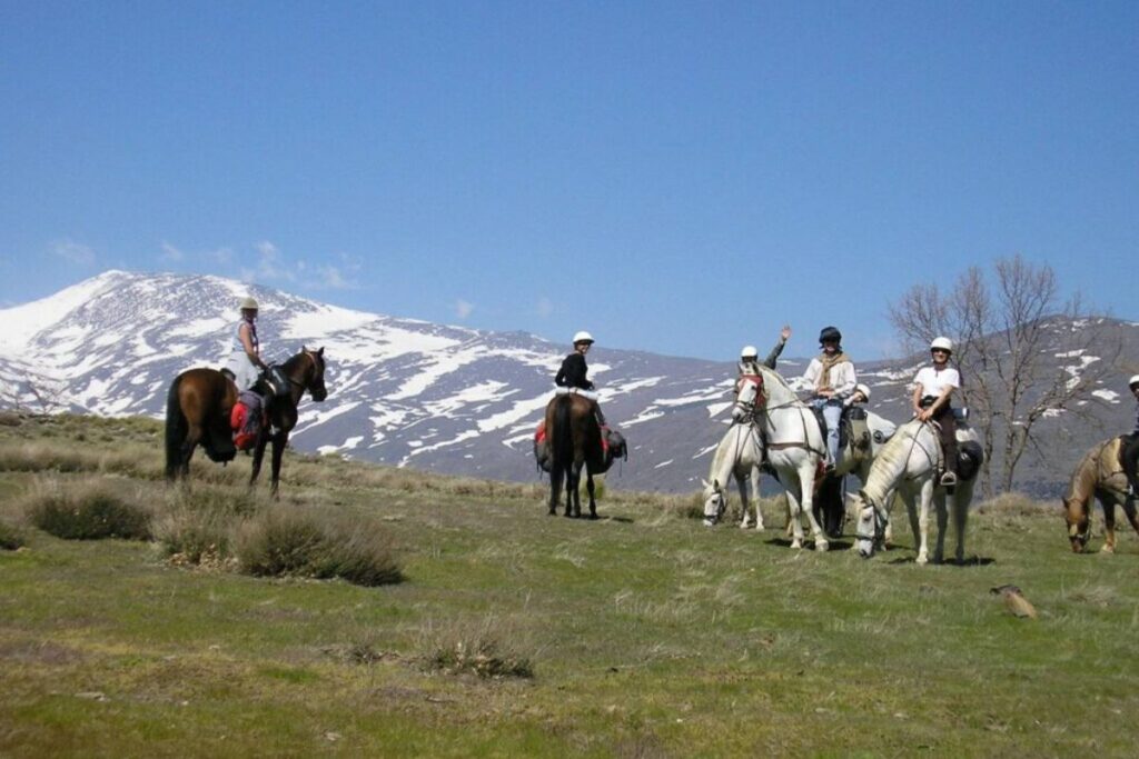 Before heading out, it's important to find the right match between the tourist and the horses. Photo: Cabello Blanco.