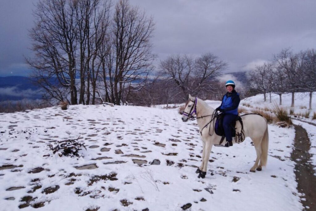 Winter is coming and many horses and other animals need help. The rescues at Cabello Blanco are lucky to
be at a place filled with care. Photo: Daniëlle van Leeuwen Photography