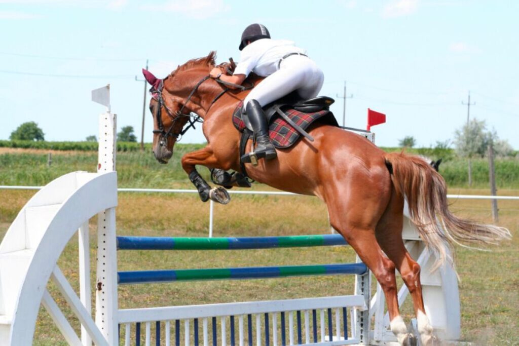 How to improve your jumping position Malgré Tout Media