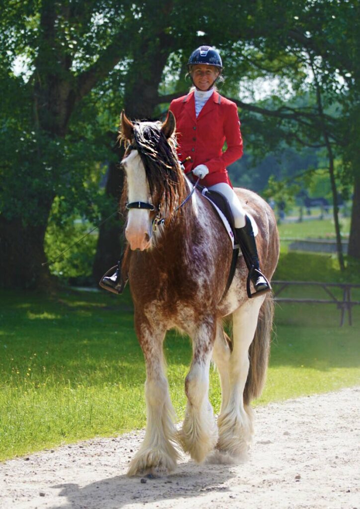 woman riding a clydesdale horse 
