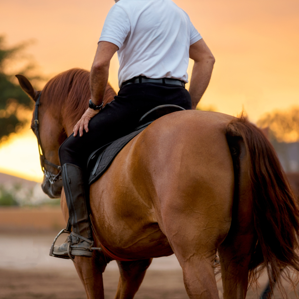 Person riding a horse 