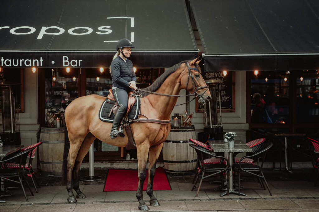 Horse in the city 