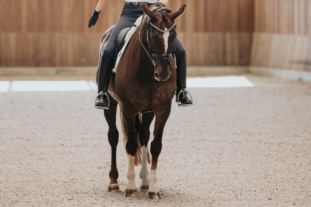 Brown horse with white markings. Horse looking down. Black bridle with silver details. Rider with black trousers and hand to the side. Riding in a riding arena with sand. 
