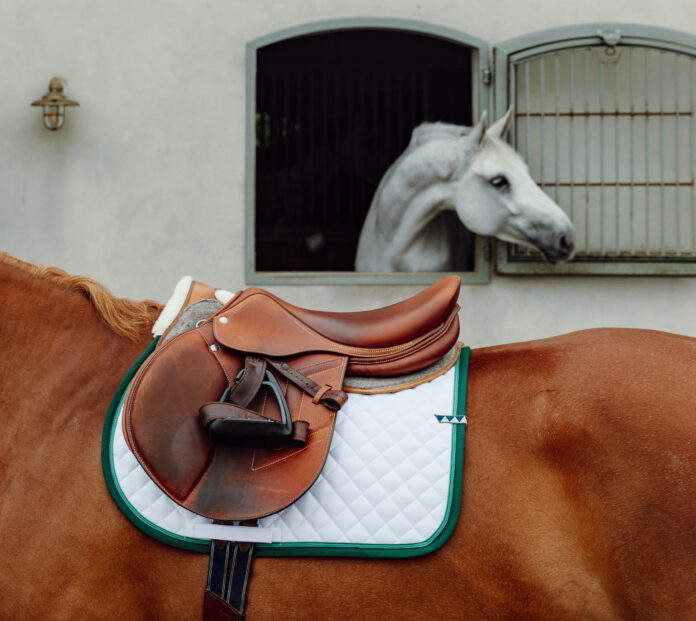Get the Galop saddle in brown with. Under is a white blanket with green lines and seams. It's placed on a brown horse with a white horse in the background looking out from the window.
