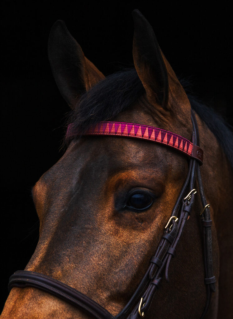 Brown horse with dark eyes. Wearing the sharktooth Horse Browband in vegan tanned leather. The color is red / purple / pink.