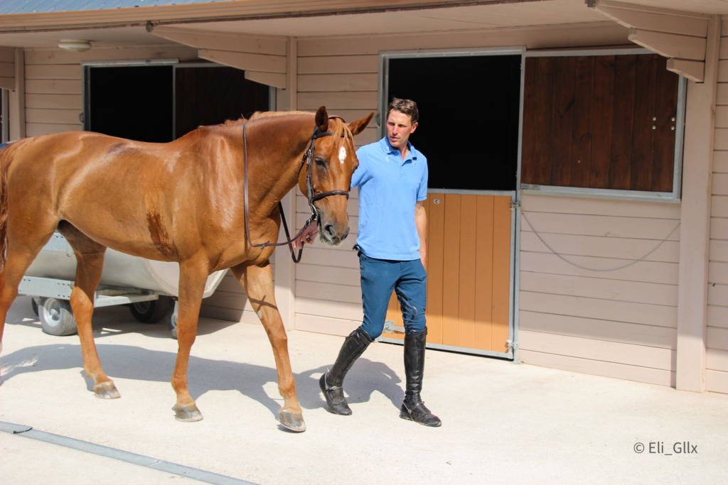 Kevin staut walking with a light brown horse, with a blue polo shirt and tie. Looking at the horse walking. Brown horse white markings. Beige and brown background.