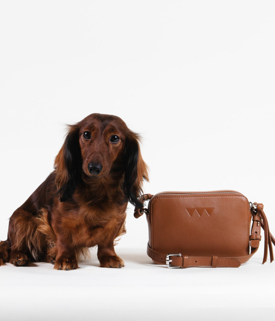 Picture shows a small cute dark brown longhaired dog with The Double Zip cross body bag is a perfect shoulder strap bag for the horse rider on the go. Carries all your essentials and zips up securely so nothing falls out. Two compartments. Comes with a removable and adjustable shoulder strap