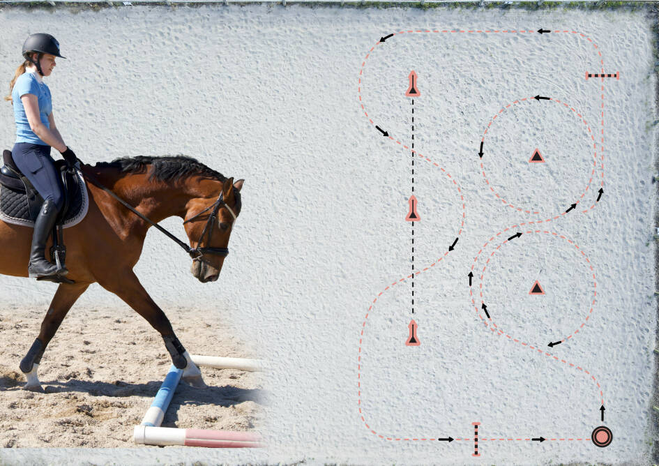 Poles & Cones Creating variation in the daily training Malgré Tout