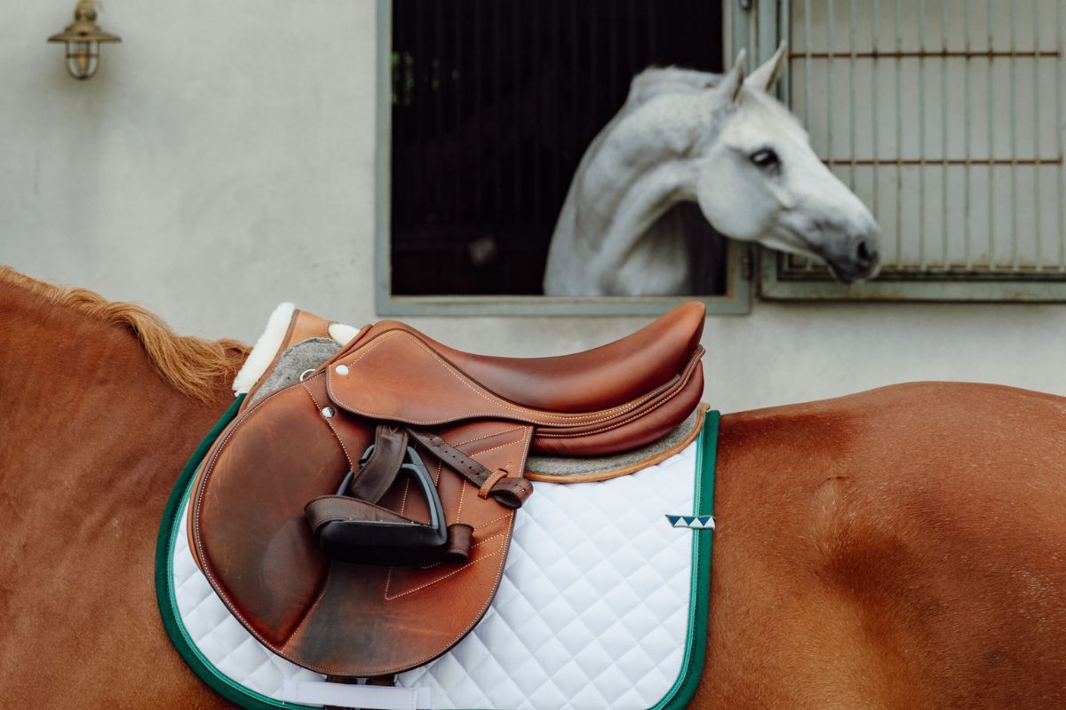 Fashion, design & lifestyle: Get The Galop is taking the