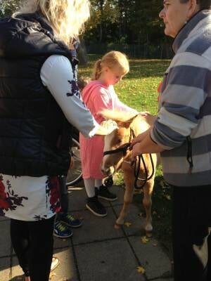 Little girls petting the visiting horse