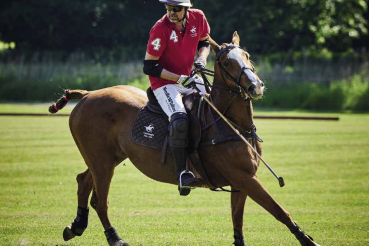 Polo - sport for kings or a thing for everybody?