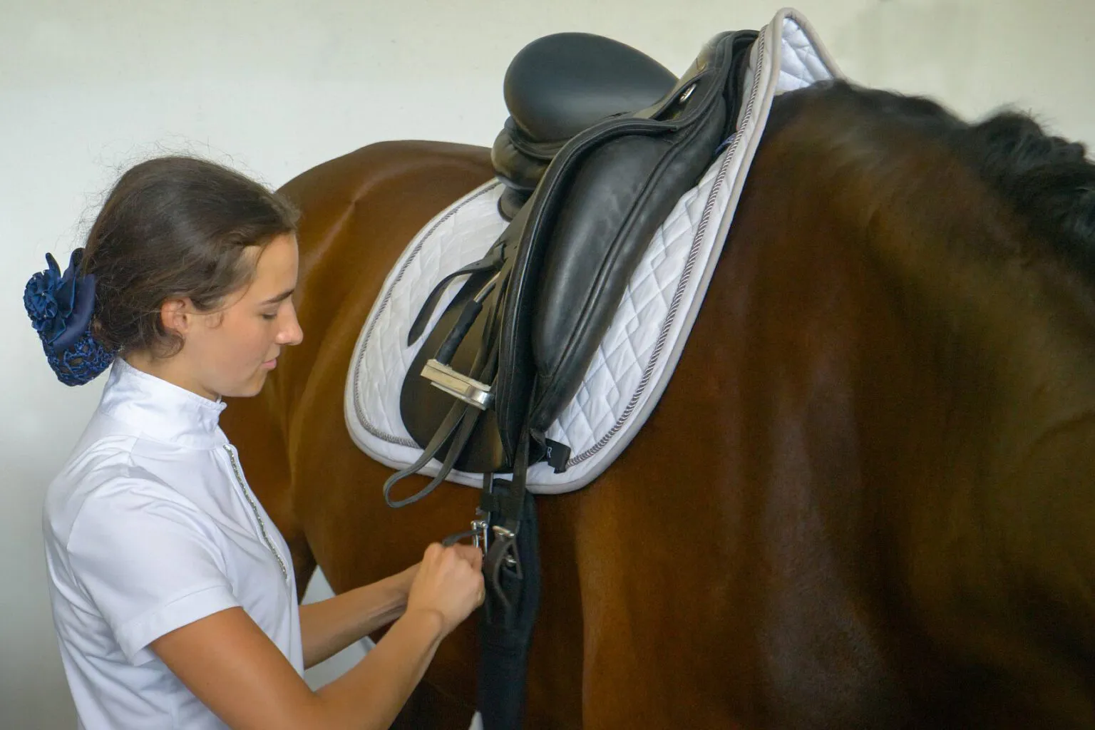 Comprehensive Guide How to Choose the Right Girth Malgré Tout Media