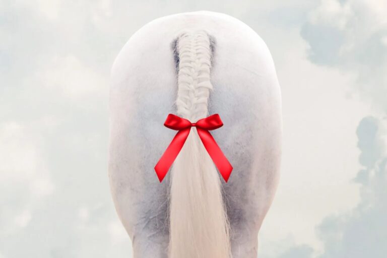 Do you know the meaning of the different ribbons in the tail?
