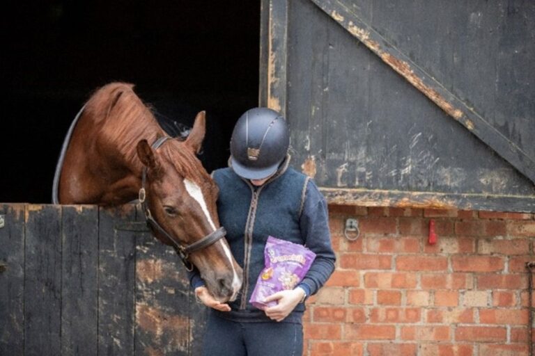 Crunchits: Elevate your horses snacking game with specialized manufacturing and tempting flavors