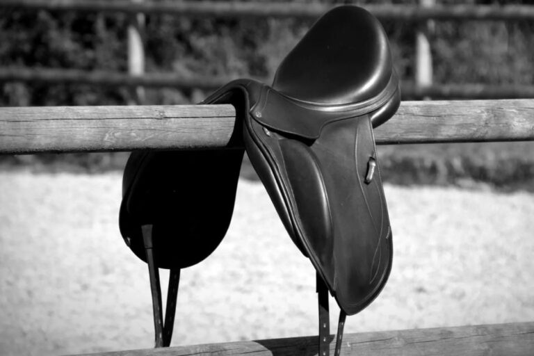 Is it time for the saddler? Check if your saddle fits your horse