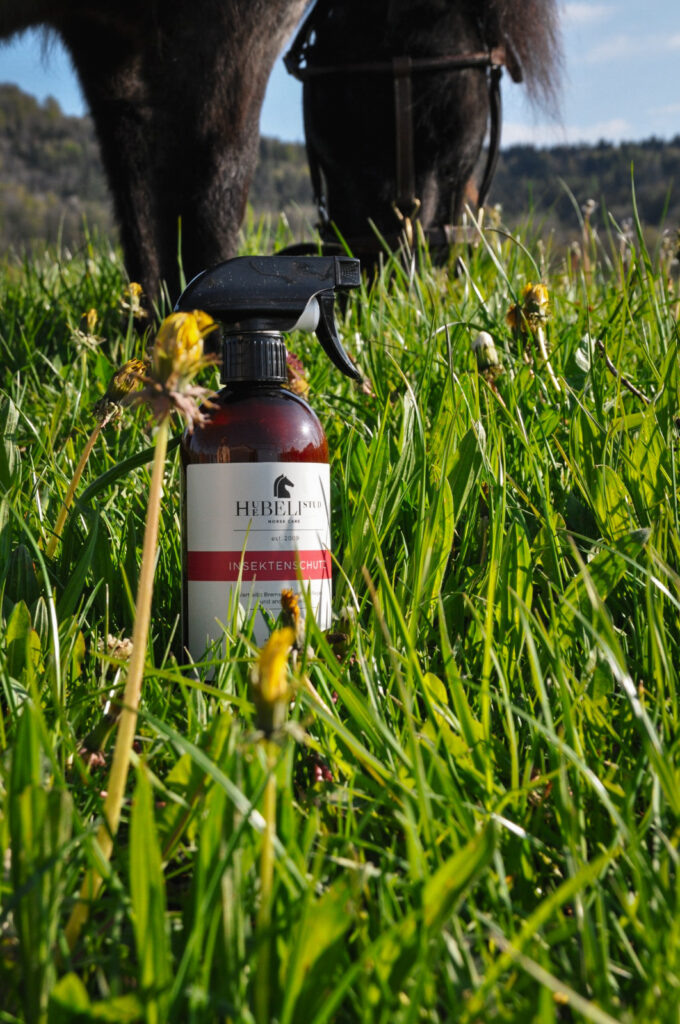 Huebeli Stud - Premium horse care 