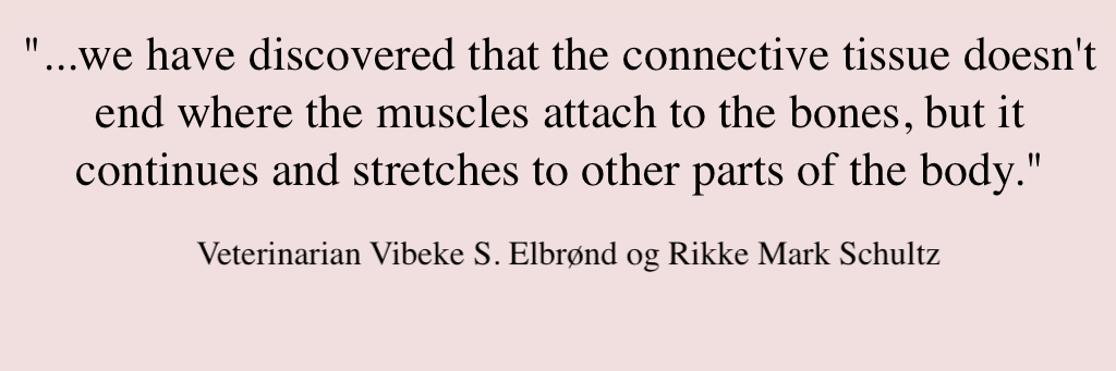 When the connective tissue is the cause of the horse's pain