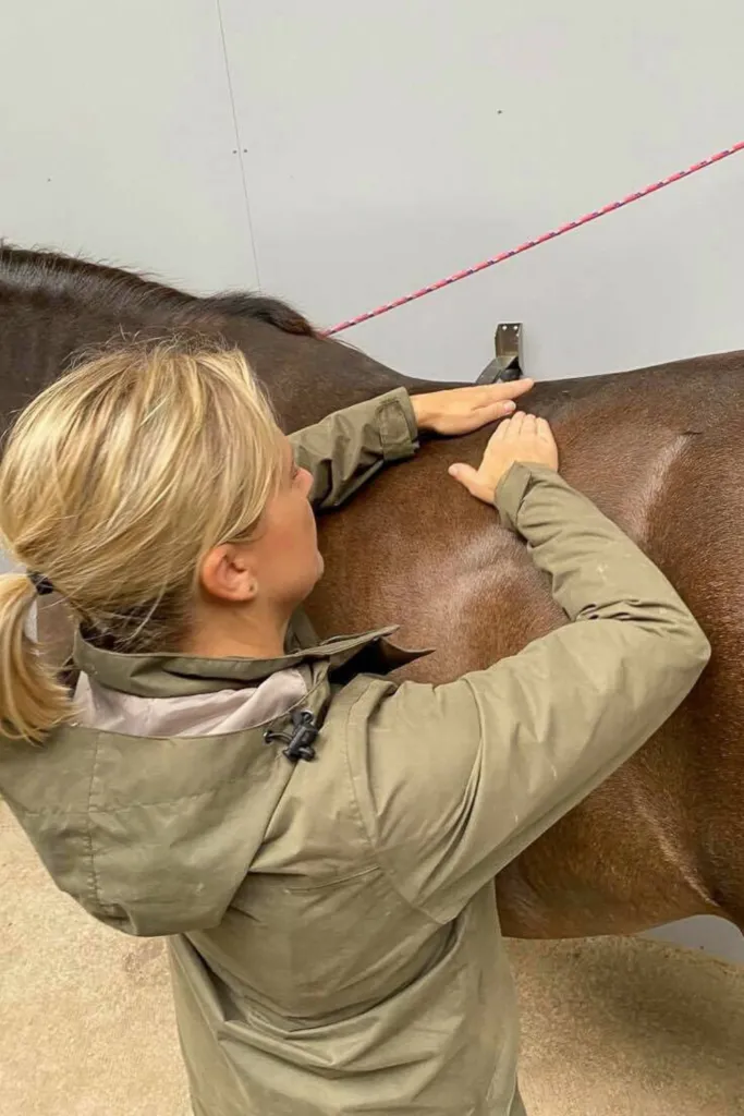 Equine massage: Why it's beneficial for your horse and how to use it