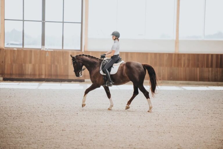 How to make the most of your horse riding lessons