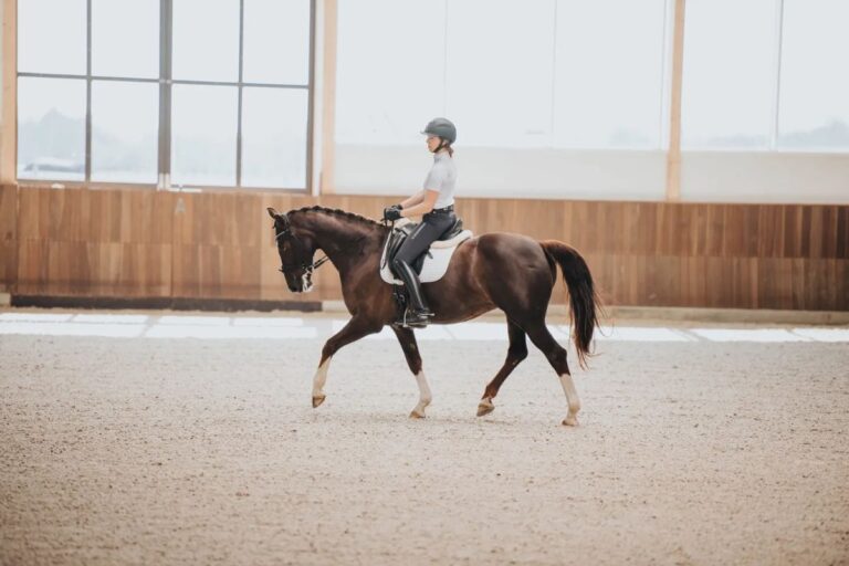 How to make the most of your horse riding lessons