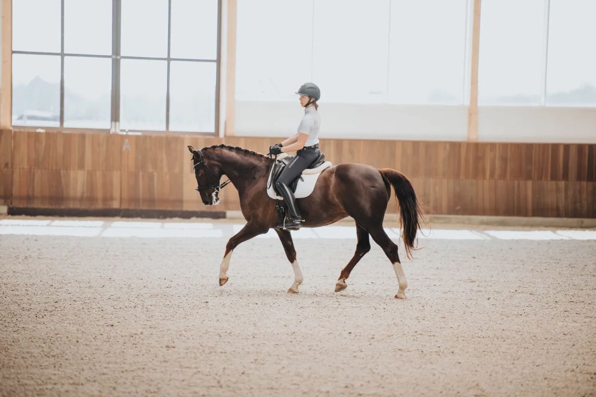 How to make the most of your horse riding lessons