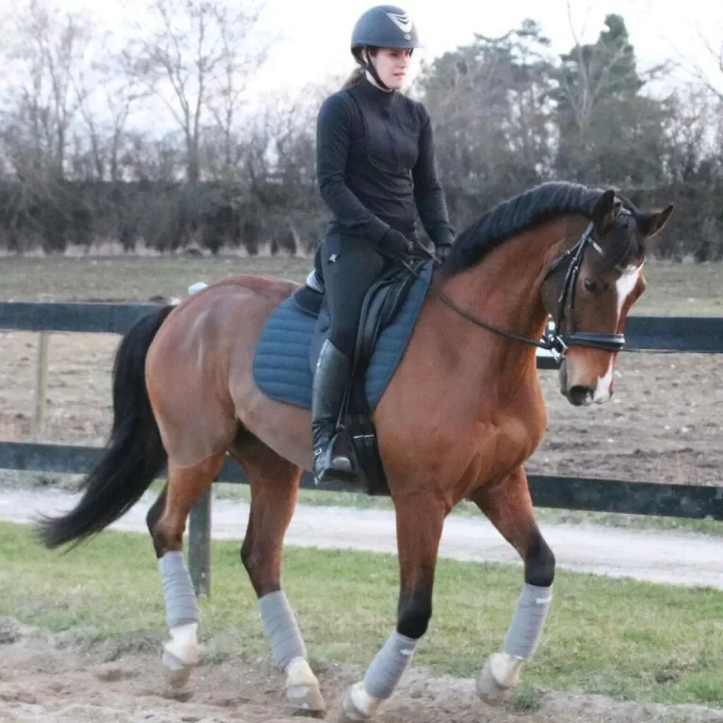 Kissing spines: Watch as a horse undergoes surgery and becomes rideable again