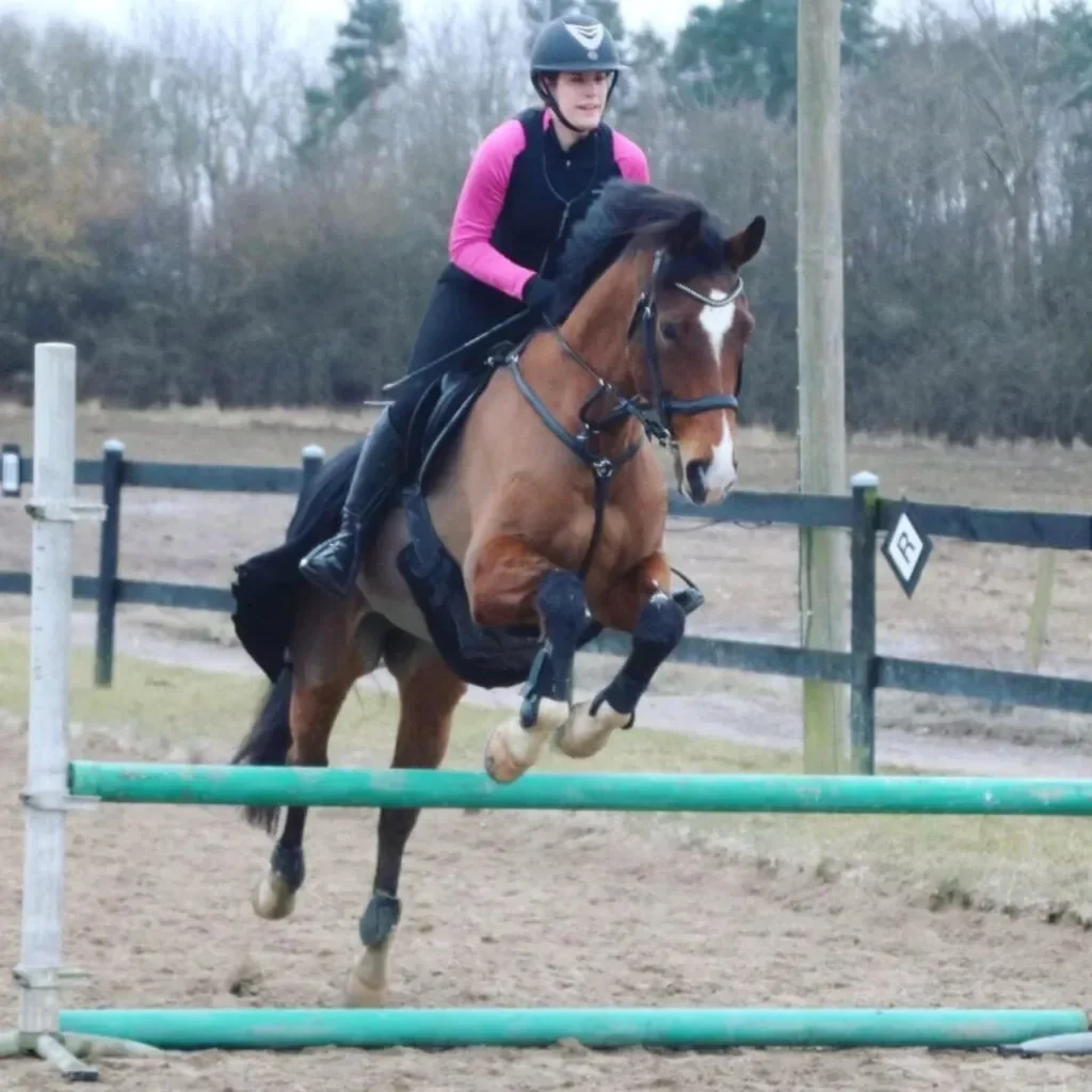 Kissing spines: Watch as a horse undergoes surgery and becomes rideable again