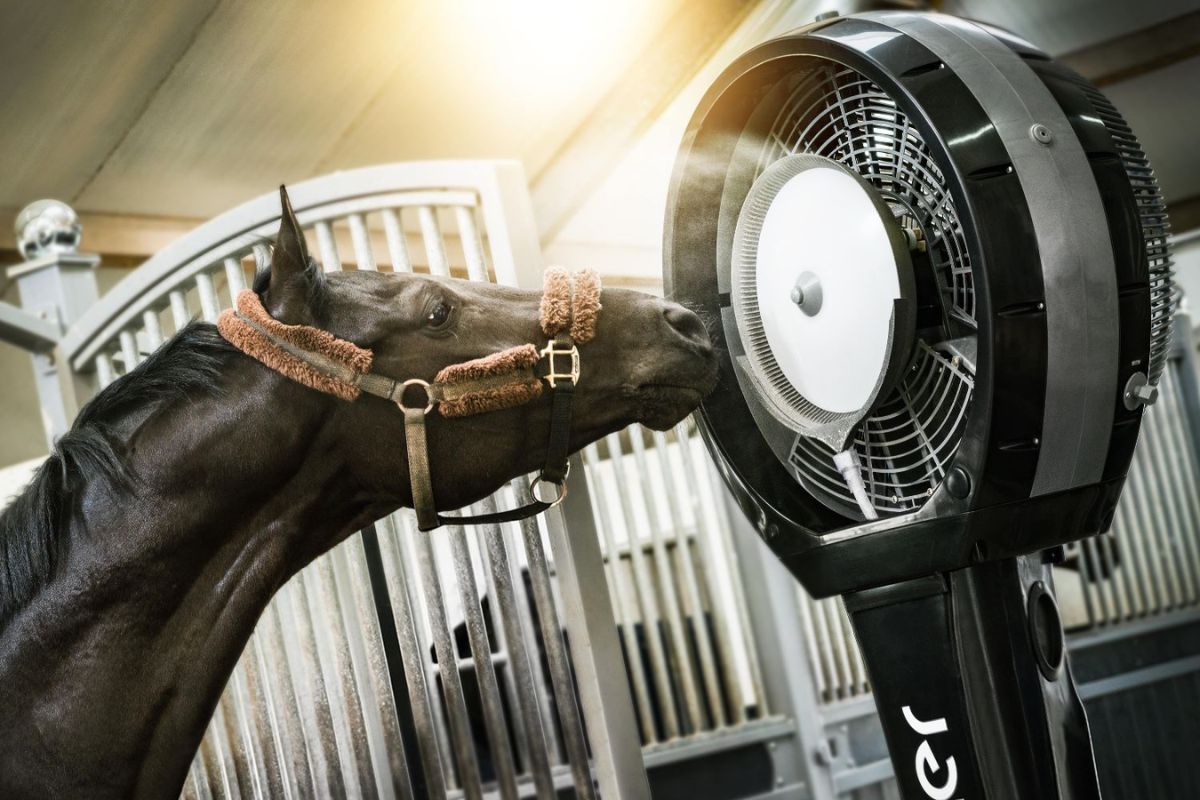 Skycooler: The tltimate solution for stables and horse transportation