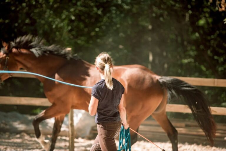Longeing: Monitor the horse's topline
