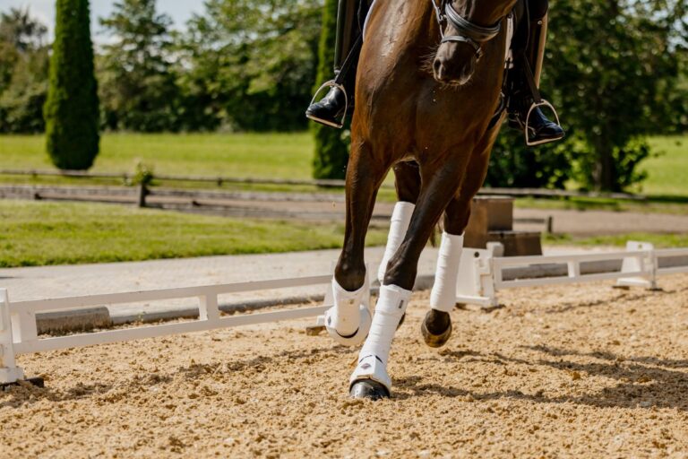 Elevate your riding arena's performance