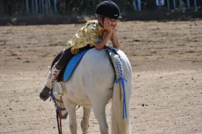 You know you have a horse-crazy child when…