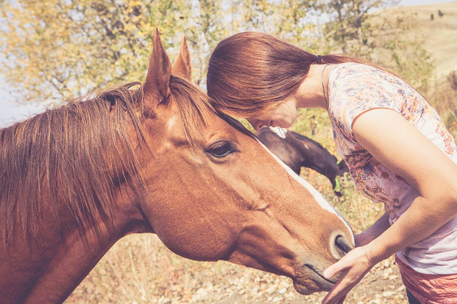 6 things that show how connected you are to your horse