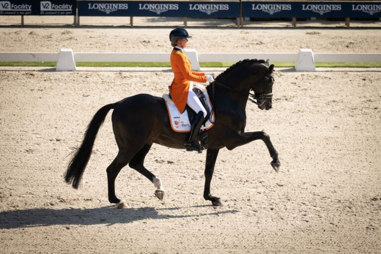 Portrait: Emmelie Scholtens, Dutch young horse champion