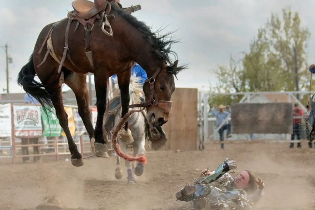 Respected expert asserts: Horses primarily buck because they're in pain