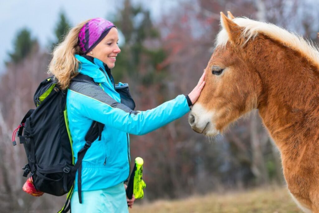 horse worry