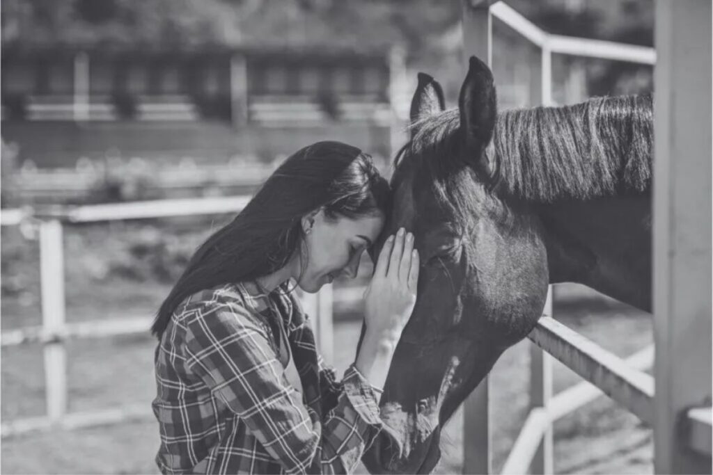 The 8 hardest things about losing a horse