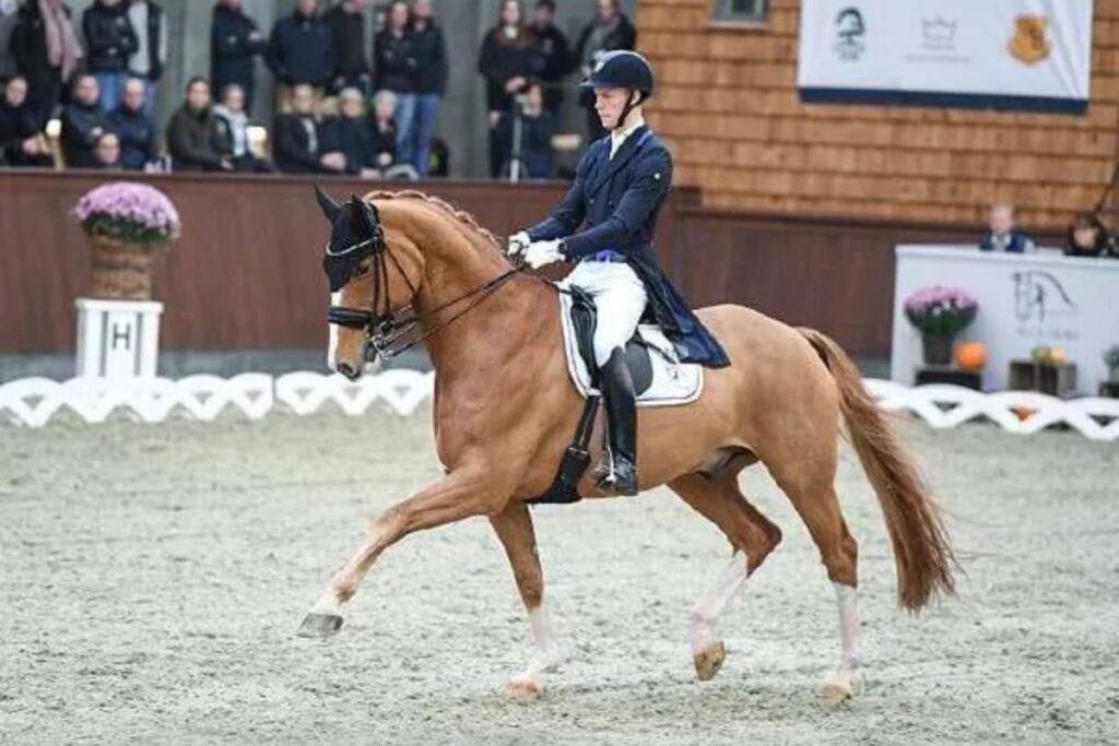 Quiz: If your horse were a dressage star, who would they be?