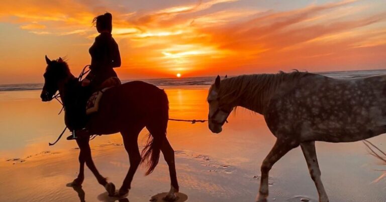 discover the best horseback riding experiences in morocco