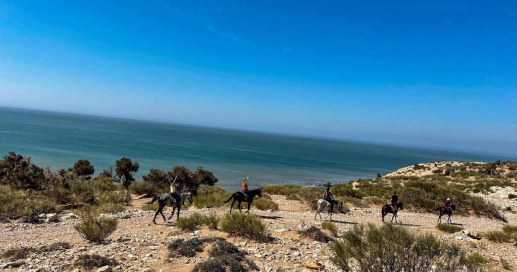 discover the best horseback riding experiences in morocco (1)