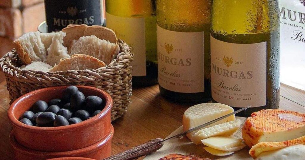 explore the perfect blend of wine tasting and horse riding in portugal (1)