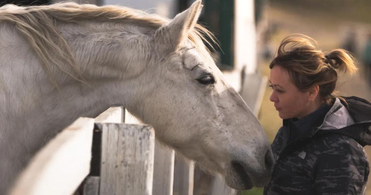 We often know it well if the horse is not feeling well. Photo: Unsplash.